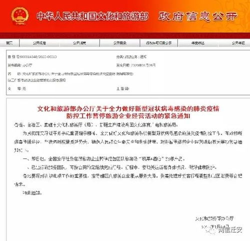 辟谣！上海30天禁止跨省旅游团系不实信息 入境旅游业正常运营